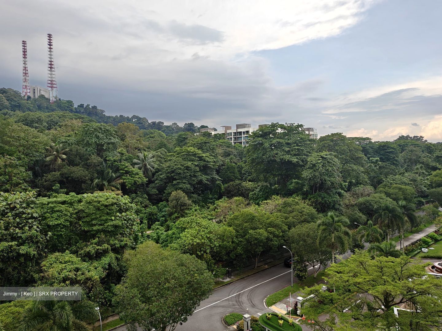 Springdale Condominium (D21), Condominium #561943751
